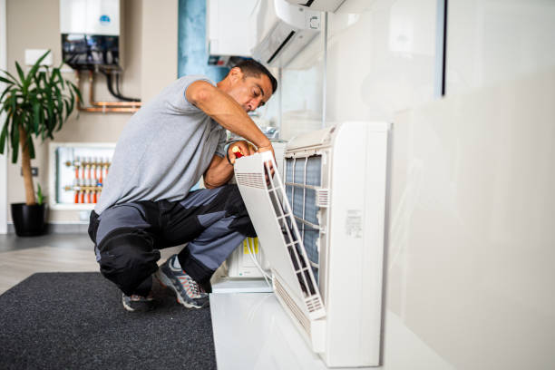 Air Duct Mold Removal in Shawneetown, IL