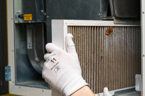 Best Residential Air Duct Cleaning  in Shawneetown, IL